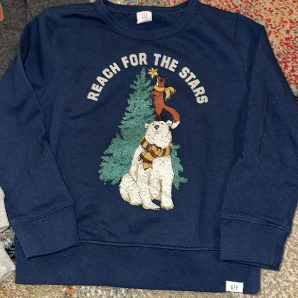 GAP, NWT OLD NAVY, & CARTER'S Three holiday tops and sweatshirts Uni Boys 5T 5 6 - Picture 3 of 5